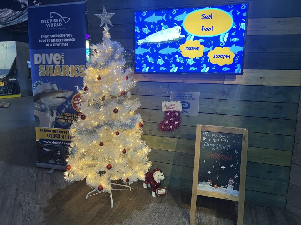 5 Ways To Have An Eco-Friendly Christmas!