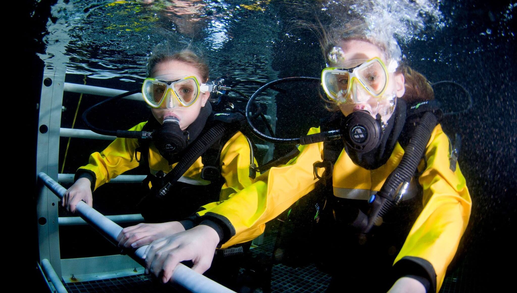 DSW Bubblemaker Image