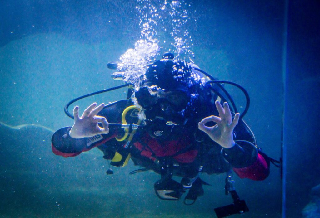 Dive & Drive Competition